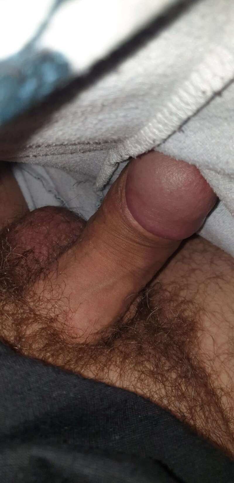 1703314009785-1